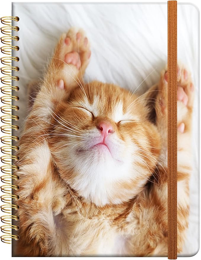 Ruled Spiral Writing Notebook,A5 Hardcover Lined College Journal for Women Lady Girl,Cute Strong Twin-Wire Binding with Premium Paper,8.4" X 6",Perfect for School,Office,Home Gifts(Sleeping Cat)-DeskLoop Office