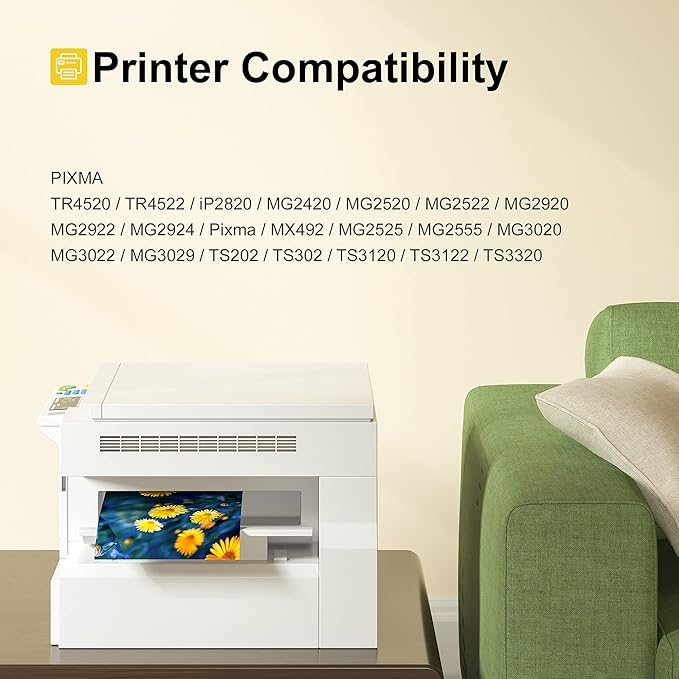 245XL Ink Cartridge Replacement for Canon 245XL Black Ink PG-245XL 245 XL PG-243 243XL for Pixma TR4520 TR4527 MX492 MX490 MG2522 MG2525 MG2920 TS202 TS302 TS3320 TS3322 MG2420 IP2820 (2 Black)-DeskLoop Office