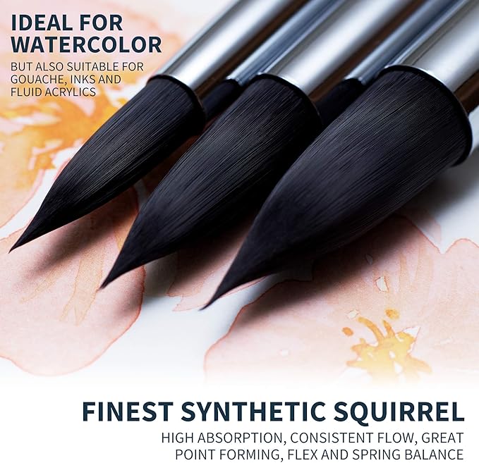 ARTEGRIA Watercolor Brush Set, 9 Professional Soft Synthetic Squirrel Paint Brushes, Including Round Detailers, Flat Wash, Rigger, Rake, Fan, Angled Shader-DeskLoop Office