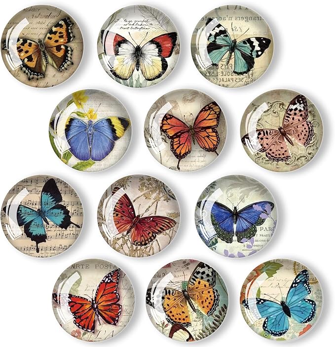 12Pcs Glass Refrigerator Magnet Fridge Sticker,Butterfly Fridge Magnets Decoration for Crafts,Strong Fridge Magnets for Kitchen, School,Office Whiteboard, Cabinet and Dishwasher-DeskLoop Office