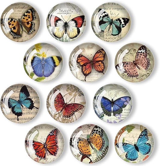 12Pcs Glass Refrigerator Magnet Fridge Sticker,Butterfly Fridge Magnets Decoration for Crafts,Strong Fridge Magnets for Kitchen, School,Office Whiteboard, Cabinet and Dishwasher-DeskLoop Office