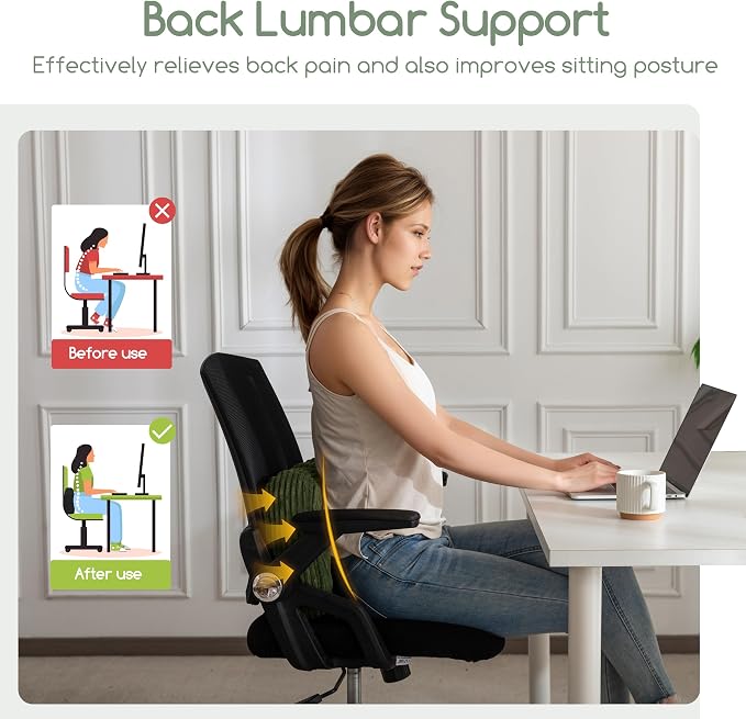 HIGOGOGO Lumbar Support Pillow for Recliner Chair/Accent Chair/Couch/Office - Image 5
