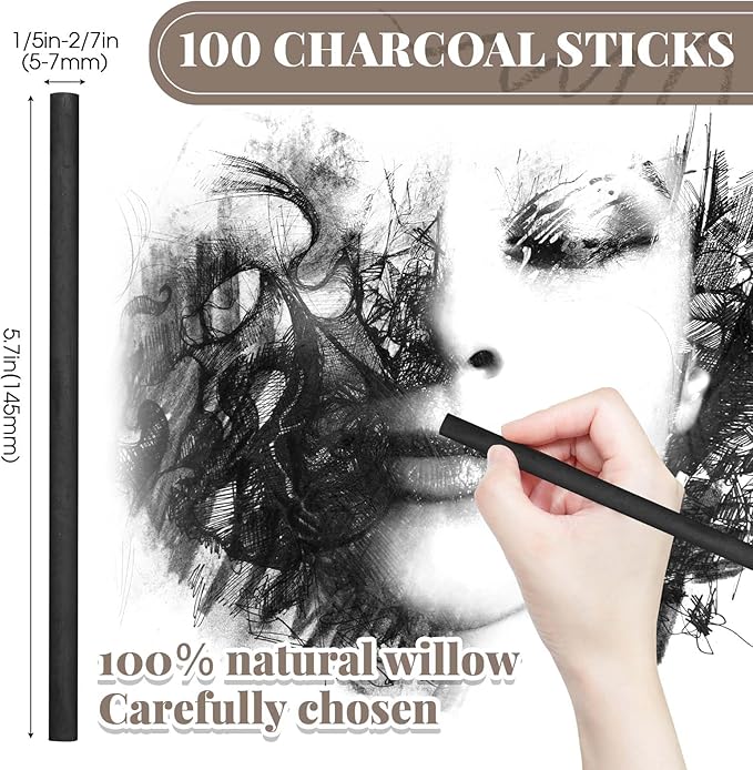 Gueevin 100 Pcs Willow Charcoal Sticks, Willow Charcoal, Artists, Beginners, Students, Perfect for Sketching, Drawing, Shading, and Fine Art (5-7mm)-DeskLoop Office