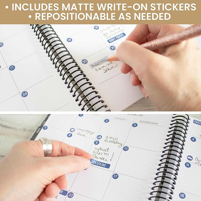 bloom daily planners Bright & Colorful Calendar Essentials Planner Stickers - Image 6