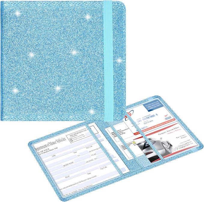 Wisdompro Small Car Registration and Insurance Documents Holder by Wisdompro