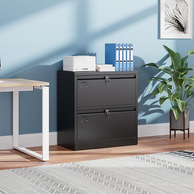 Metal 2 Drawer Lateral File Cabinet with 2 Lock - Wide Filing Cabinet for Letter/Legal/F4/A4 Hanging Files - Includes Business Card Holder,Home Office School Storage,Black-DeskLoop Office