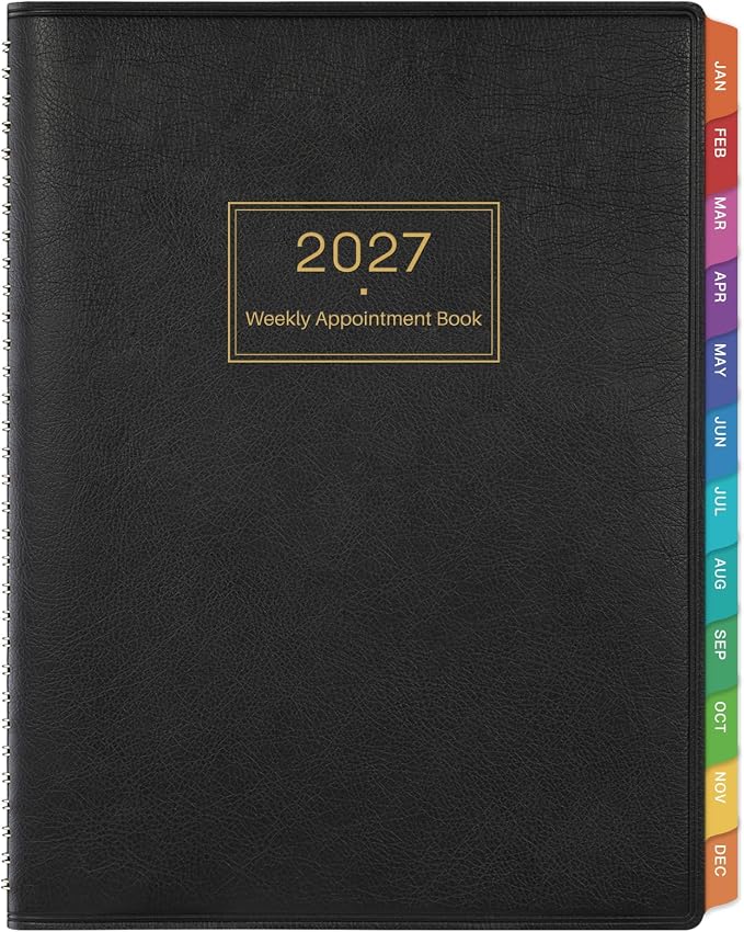 2027 Appointment Book by Artfan