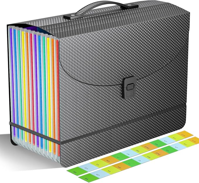 Accordion File Organizer/Expanding File Folder by Vanulee