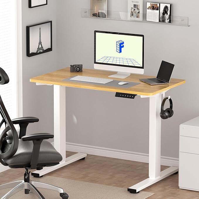 FLEXISPOT EN1 One-Piece Standing Desk 48 x 30 Inch Electric Height Adjustable Desk for Home Office and Computer Workstation (White Frame + Maple Top, 2 Packages)-DeskLoop Office