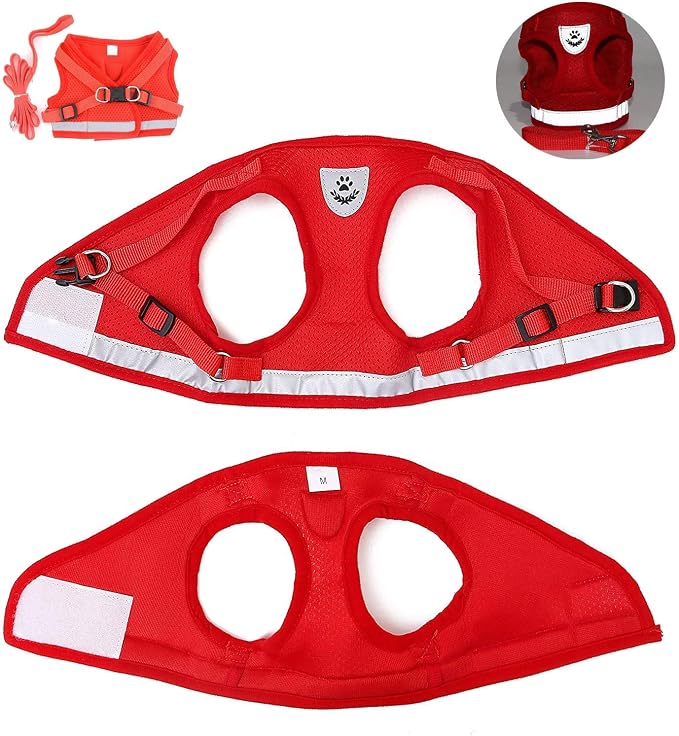 FEimaX Dog Harness and Leash Set - Image 6
