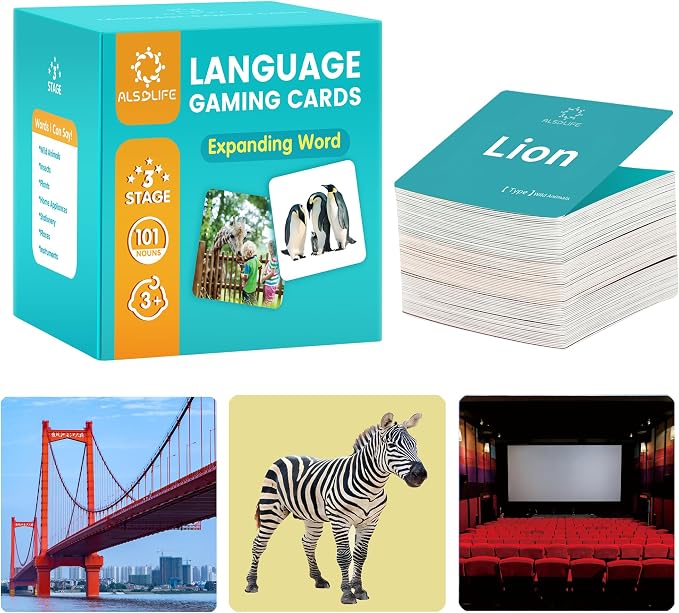 100 Nouns Flash Cards for Toddlers, Expanded Vocabulary Cards by ALSOLIFE