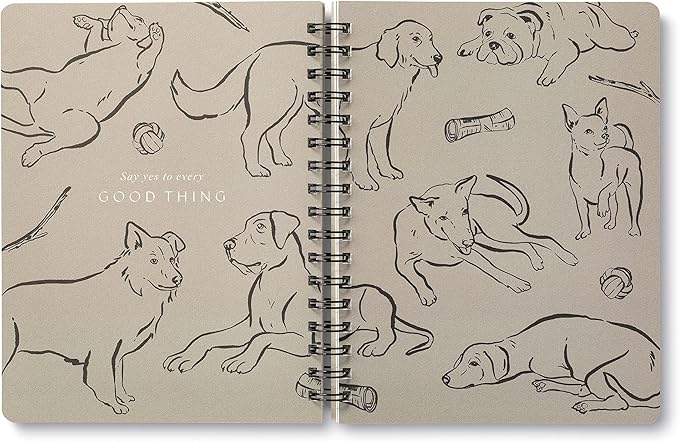 Compendium Spiral Notebook - Play All Day — A Designer Spiral Notebook with 192 Lined Pages, College Ruled, 7.5”W x 9.25”H-DeskLoop Office