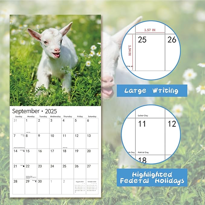2025 Wall Calendar,Calendar 2025, January 2025 - December 2025, Wall Calendar Baby Moo Moos, 12" x 24" Opened,Full Page Months Thick & Sturdy Paper for Calendar Organizing & Planning