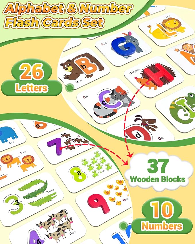 Gojmzo Alphabet Flash Cards, ABC Learning Toys - Image 2
