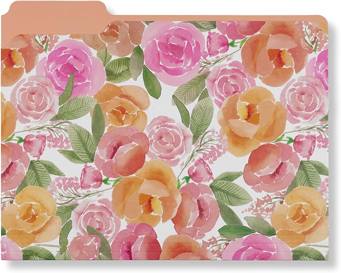 Steel Mill & Co. Set of 9 File Folders, Cute Decorative Letter Size Files - Image 7