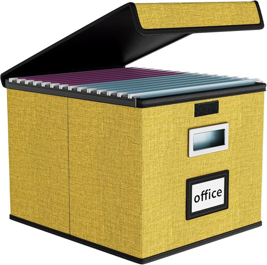 File Organizer Box with Lid, Collapsible File Folder Organizer by Huolewa