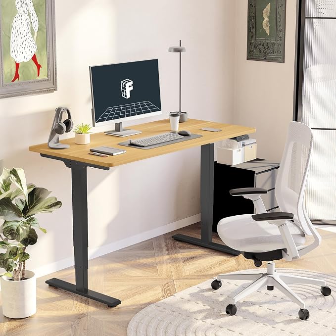 FLEXISPOT E6 3-Stage Dual Motor Electric Standing Desk 48 x 24 Sit Stand Up Desk - Image 2