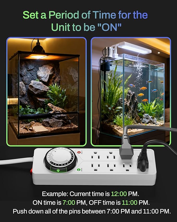 BN-LINK 8 Outlet Surge Protector - Image 4