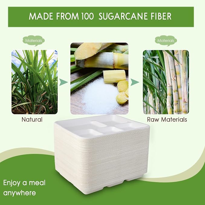 Vplus 100% Compostable Small 5 Compartment Plates 125 Pack 10.25 x 8.25 inch - Image 7