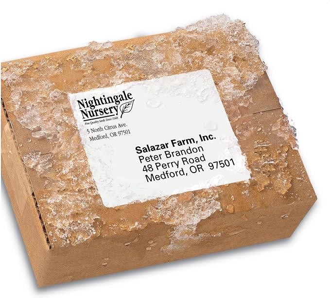Avery Durable Waterproof Shipping Labels - Image 4