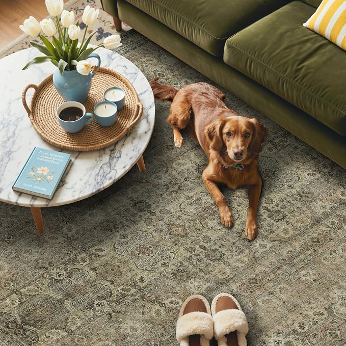 GENIMO 9x12 Area Rugs for Living Room, Machine Washable Non Slip Vintage Rugs - Image 3