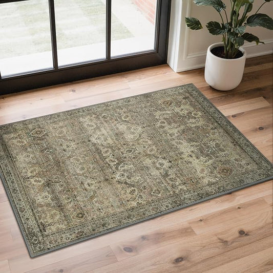 GENIMO 2x3 Area Rugs for Living Room, Machine Washable Non Slip Vintage Rugs by GENIMO
