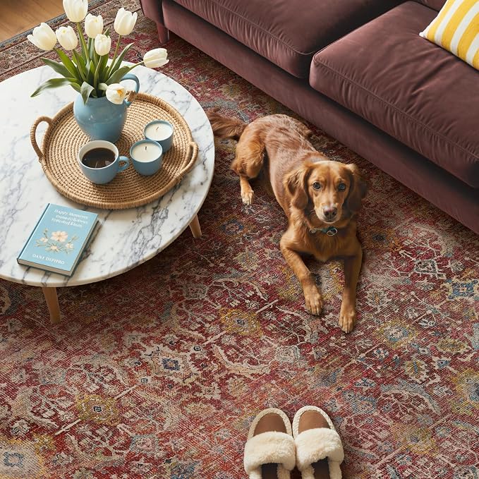GENIMO 9x12 Area Rugs for Living Room, Machine Washable Non Slip Vintage Rugs - Image 3