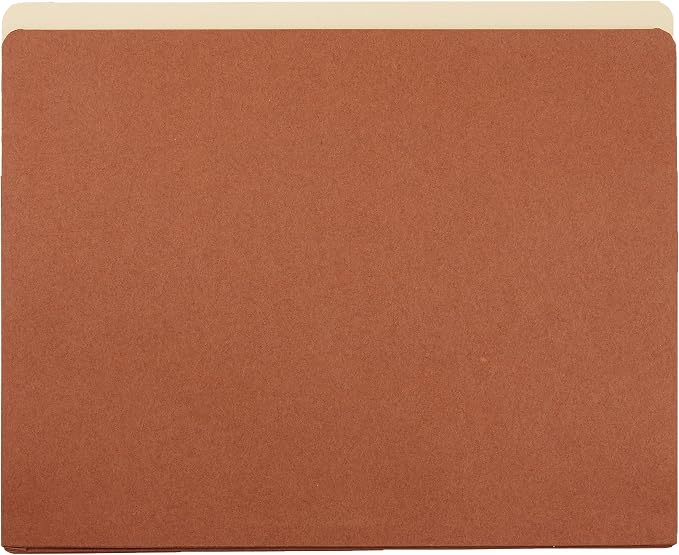 Amazon Basics Expanding File Folder Organizer - Image 3
