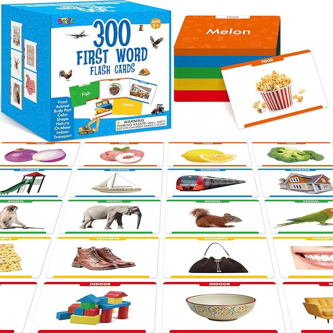 300 Noun Picture-Word Cards, Picture Flashcards Language Builder Visual Aid by SpriteGru