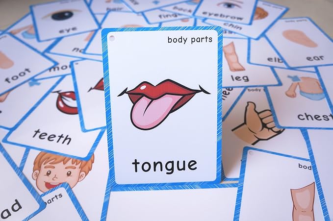 SANTSUN Set of Body Parts Kid Flashcards - Image 6