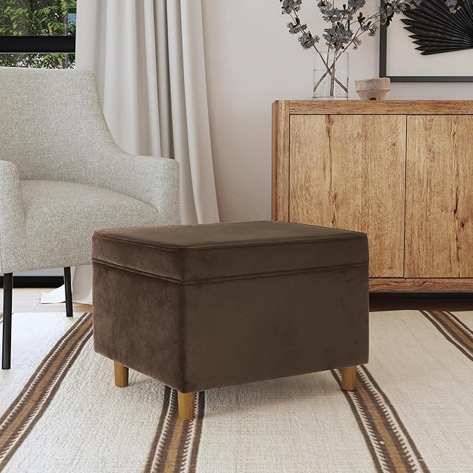Home Decor | Dinah Collection Modern Storage Ottoman | Ottoman with Storage for Living Room & Bedroom(Chocolate Brown Velvet)-DeskLoop Office