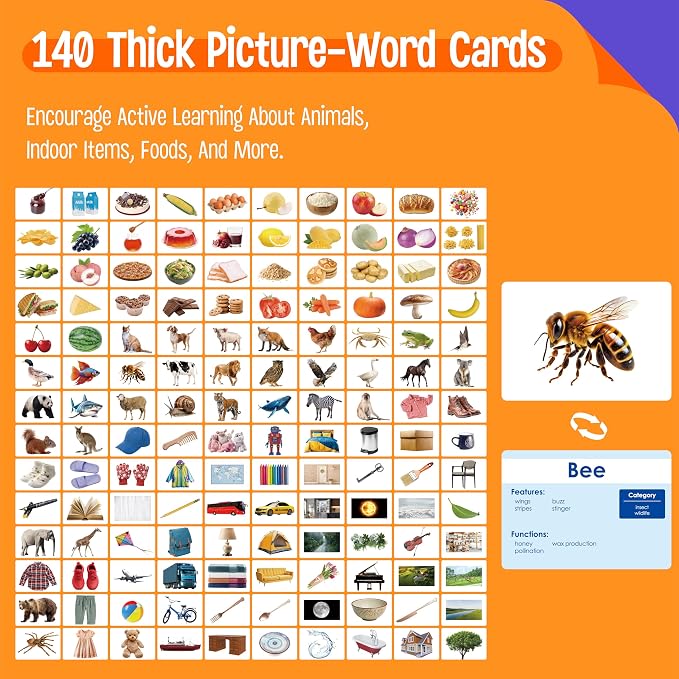 140 Noun Picture-Word Cards, Picture Flashcards Language Builder Visual Aid - Image 2