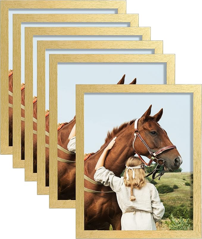 ELSKER&HOME 8x10 Picture Frame Gold Set of 6 Glass | Multi Photo Frames Collage by ELSKERHOME
