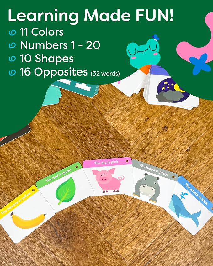 Toddler Flash Cards - Image 2