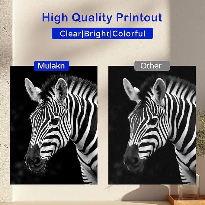 for Brother LC401XL LC406XL Ink Cartridges (2BK LC406XL Ink Cartridges)-DeskLoop Office