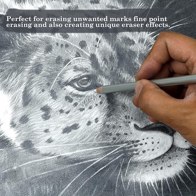 KALOUR Detail Eraser Pencil - 6pc Eraser Pencils with Brush and 2pc Sharpener,Erasing Small Details or add Highlights for Sketching, Charcoal Drawings. Fine Detail Eraser for Beginners & Artists