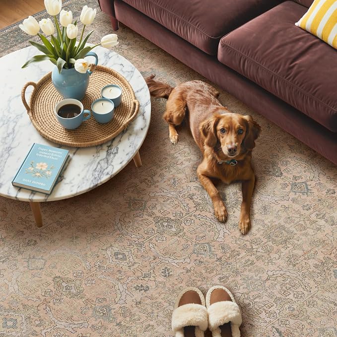 GENIMO 6x9 Area Rugs for Living Room, Machine Washable Non Slip Vintage Rugs - Image 3