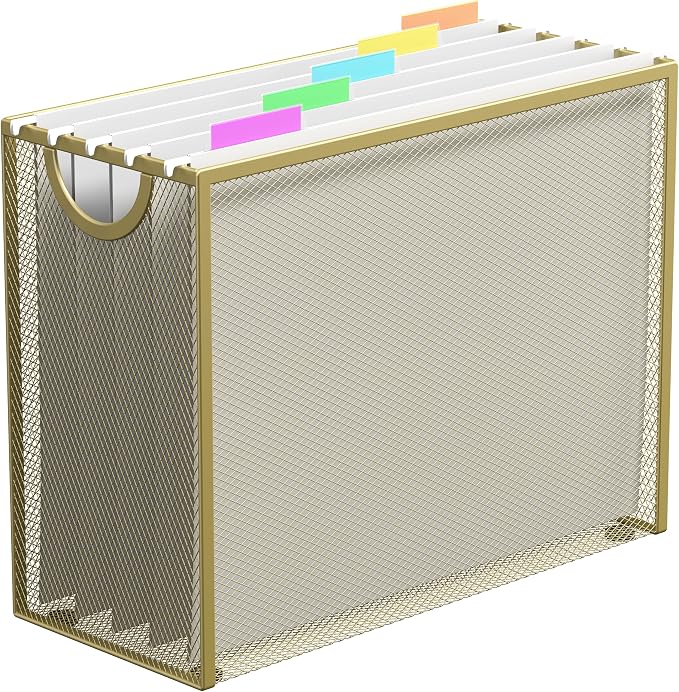 Hanging File Organizer, Letter-Size File Holder Filing Box by GoldOrcle